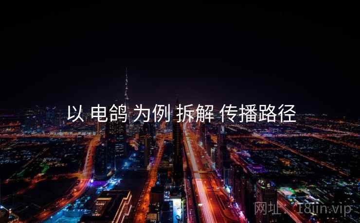 以 电鸽 为例 拆解 传播路径