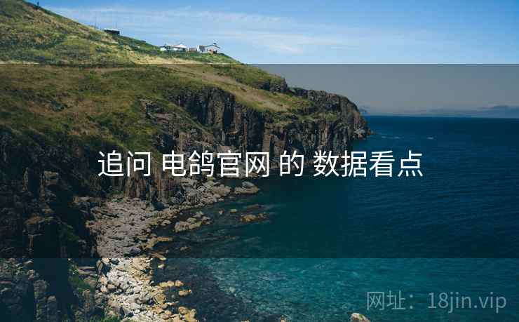 追问 电鸽官网 的 数据看点