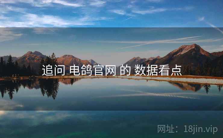 追问 电鸽官网 的 数据看点