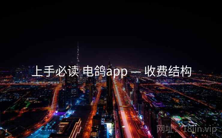 上手必读 电鸽app — 收费结构
