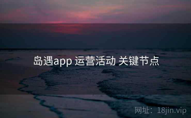 岛遇app 运营活动 关键节点