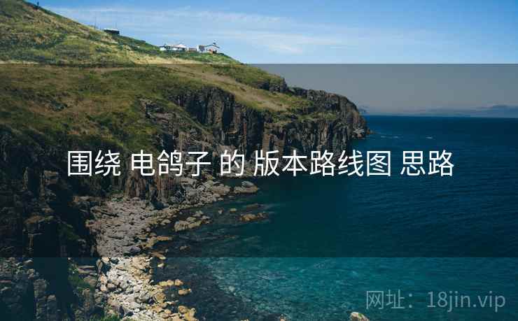 围绕 电鸽子 的 版本路线图 思路