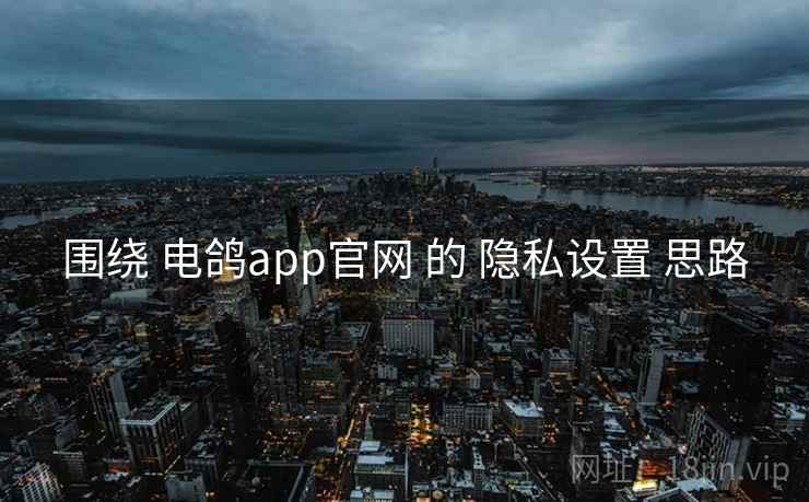 围绕 电鸽app官网 的 隐私设置 思路