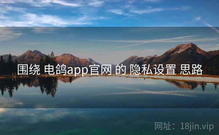 围绕 电鸽app官网 的 隐私设置 思路