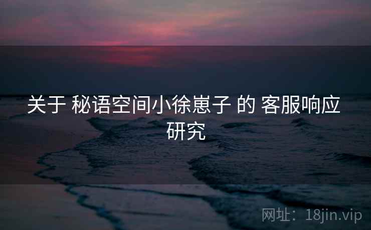 关于 秘语空间小徐崽子 的 客服响应 研究