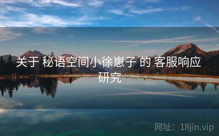 关于 秘语空间小徐崽子 的 客服响应 研究