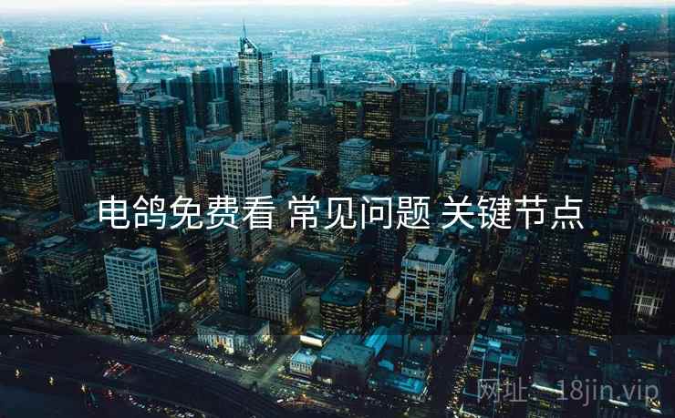 电鸽免费看 常见问题 关键节点