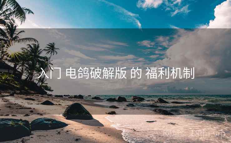 入门 电鸽破解版 的 福利机制