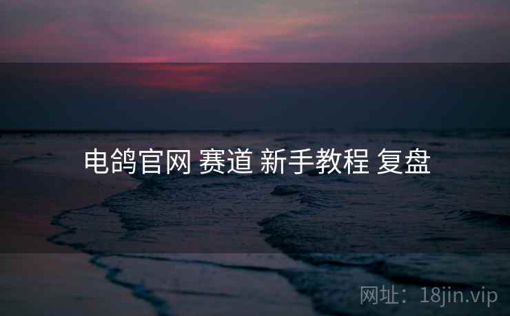 电鸽官网 赛道 新手教程 复盘
