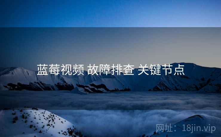 蓝莓视频 故障排查 关键节点