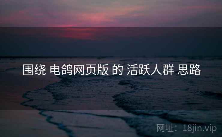 围绕 电鸽网页版 的 活跃人群 思路