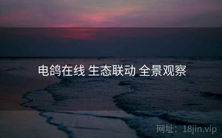 电鸽在线 生态联动 全景观察