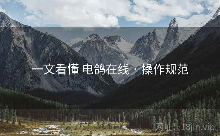 一文看懂 电鸽在线 · 操作规范