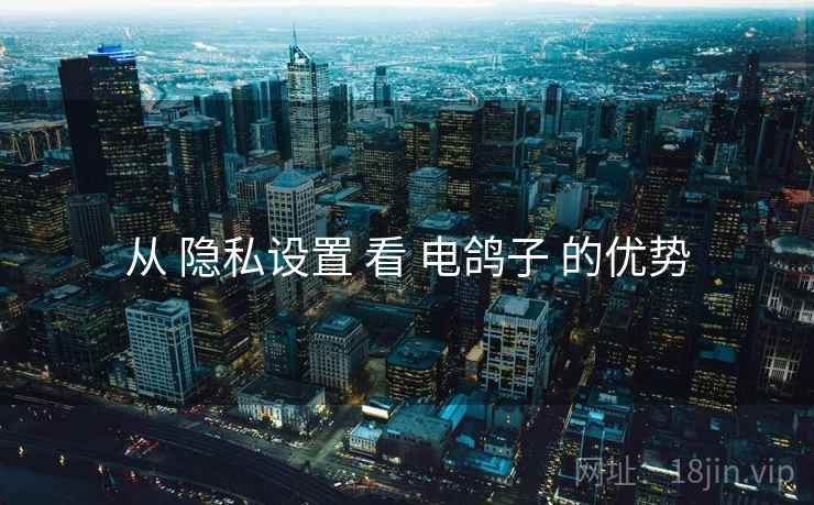 从 隐私设置 看 电鸽子 的优势