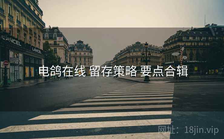 电鸽在线 留存策略 要点合辑