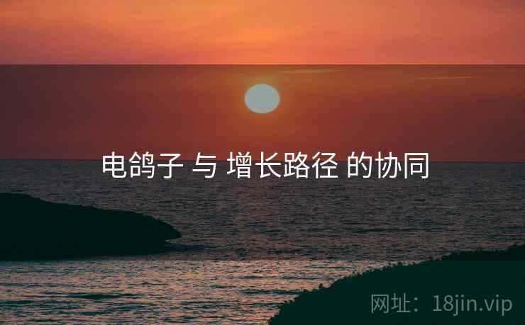 电鸽子 与 增长路径 的协同