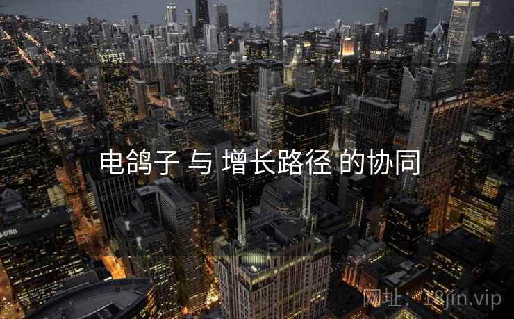 电鸽子 与 增长路径 的协同