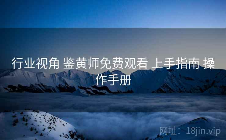 行业视角 鉴黄师免费观看 上手指南 操作手册