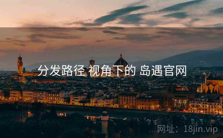 分发路径 视角下的 岛遇官网