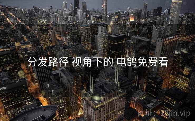 分发路径 视角下的 电鸽免费看