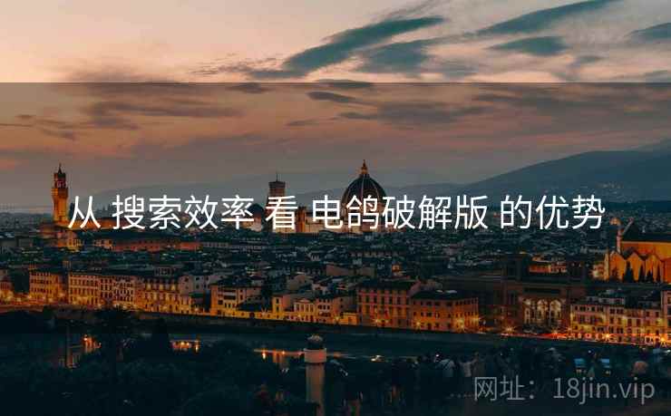 从 搜索效率 看 电鸽破解版 的优势