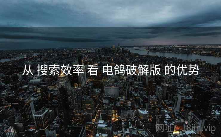 从 搜索效率 看 电鸽破解版 的优势