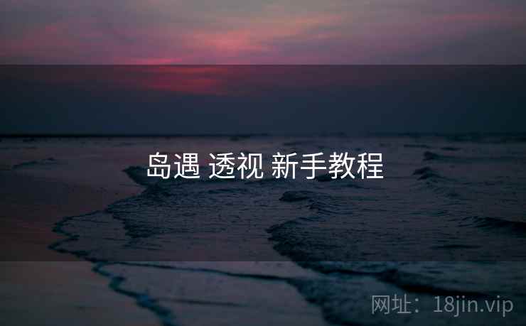 岛遇 透视 新手教程