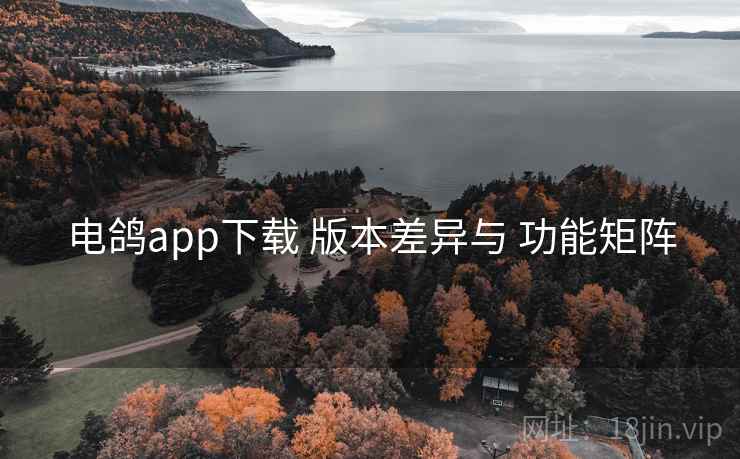 电鸽app下载 版本差异与 功能矩阵