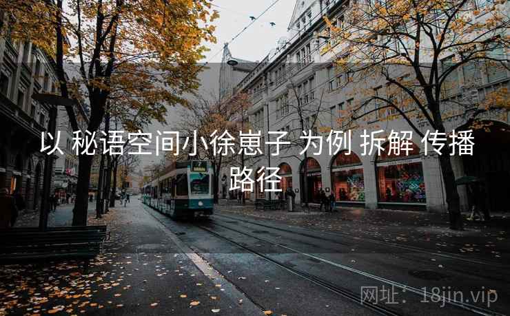 以 秘语空间小徐崽子 为例 拆解 传播路径