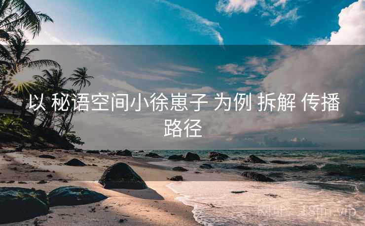 以 秘语空间小徐崽子 为例 拆解 传播路径